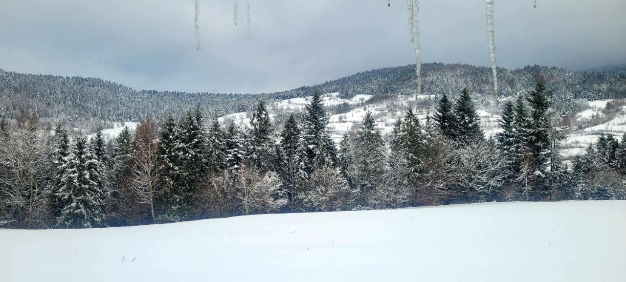 Domki Na Widoku Lubomierz  Exteriör bild