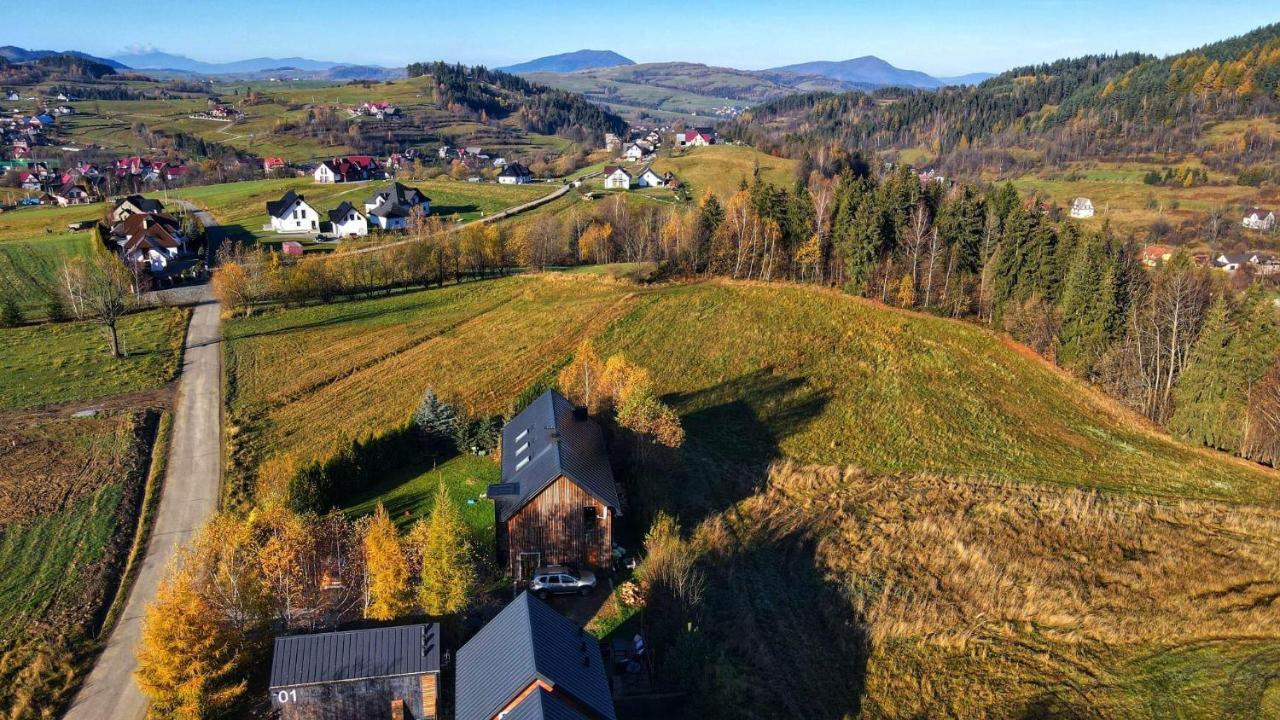 Domki Na Widoku Lubomierz  Exteriör bild